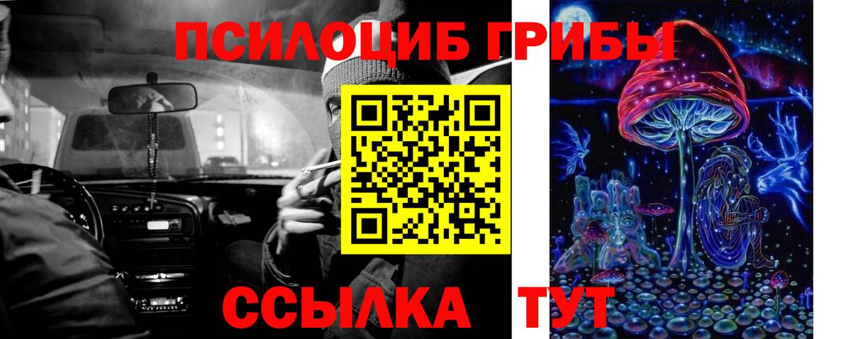 купить   Псилоцибиновые грибы Magic Shrooms  Трёхгорный  Вход с VPN  Псилоцибиновые грибы MAGIC MUSHROOMS 